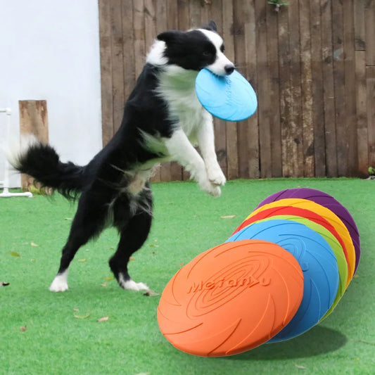 Gryzakoodporny Frisbee dla Psów